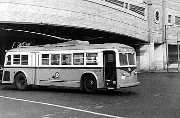 usa_m_psct_yellow_005.jpg
