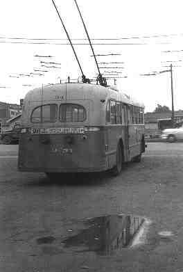 usa_m_dlh_brill_024_rear.jpg